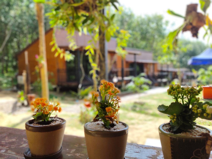 Food & Drinks 4, Kohmook Nurse House, Kantrang