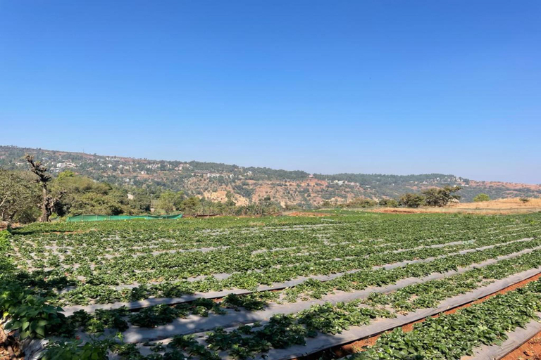 Others 5, Prathamesh Valley Resort Mahabaleshwar, Satara
