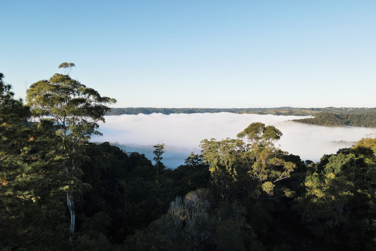 Exterior & Views 5, Montville Misty View Cottages, Maroochy