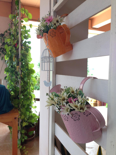 Food & Drinks 5, NT house, Muang Chiang Rai
