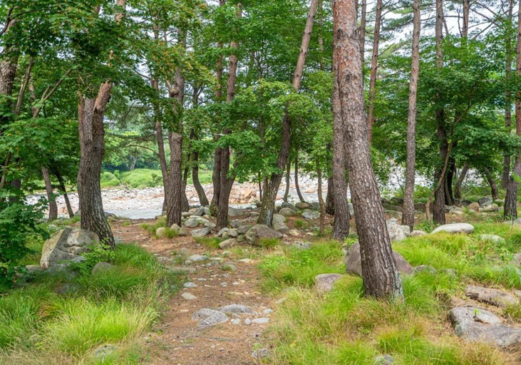 Others 4, Baekdam Gyegok Pension, Inje