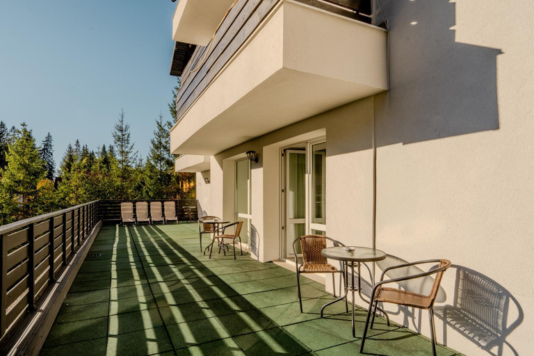 Others 5, Dinvis Apartments, Brasov