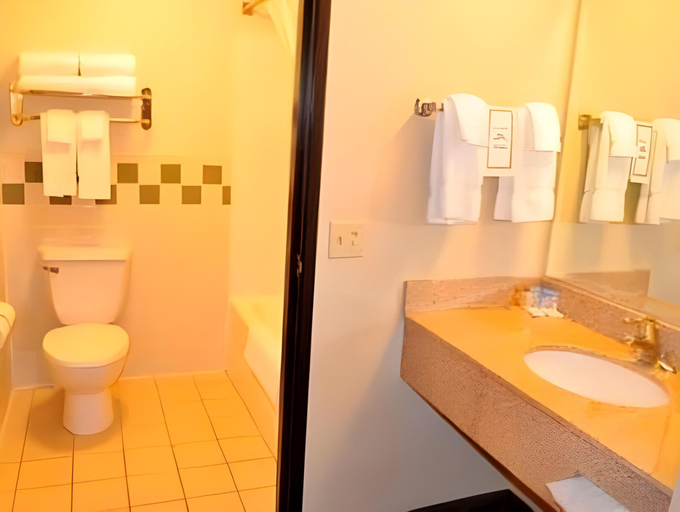 Bathroom 3, Mountainview Lodge Suites, Gallatin