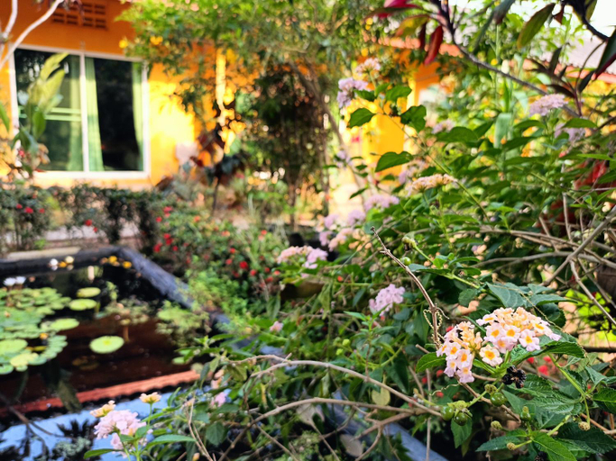 Others 5, Six Nature Resort, Muang Chiang Rai