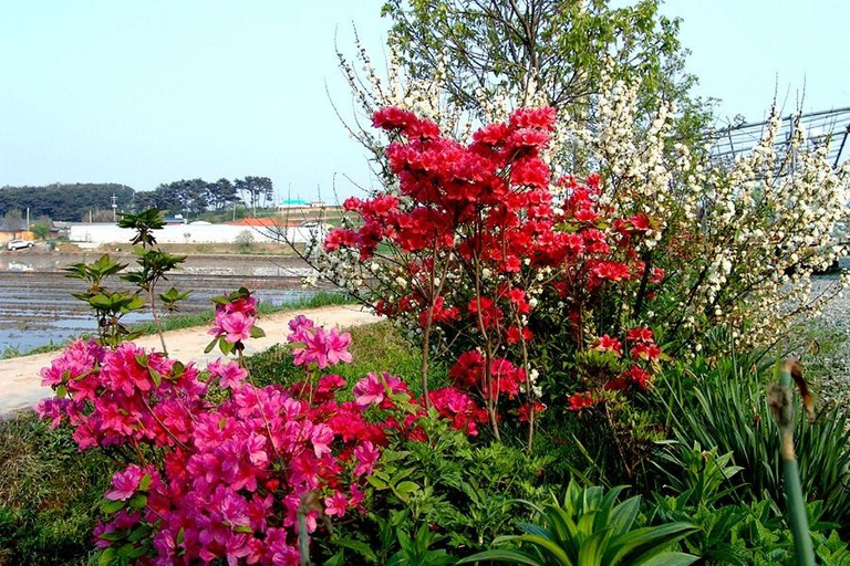 Others 5, Sujeong Pension, Taean