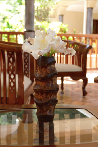 Public Area 2, Bernique Guest House