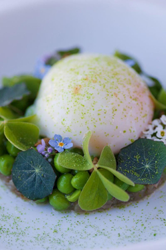 Food & Drinks 5, Domaine Le Mezo, Morbihan