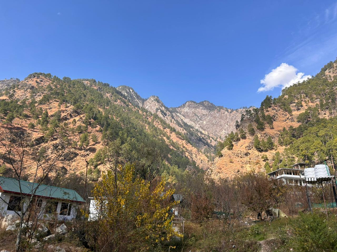 Others 3, MOKSHA WOODHOUSE, Kullu