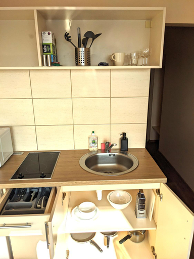 Others 3, Mini Studio Apartment, Kauno