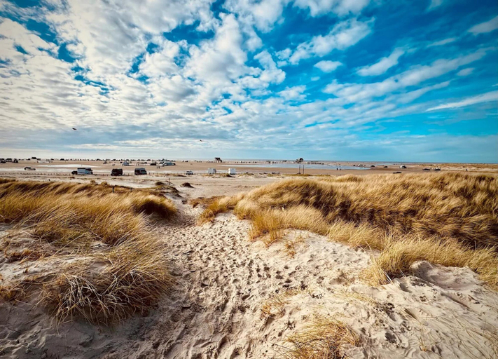 View from property 4, Ferienwohnung in St.peter-ording, Nordfriesland