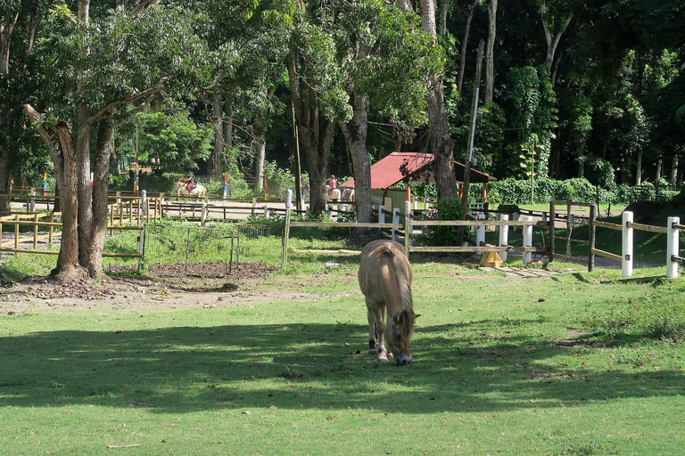 Others 3, Ranch Black Horse, Les Trois-Îlets