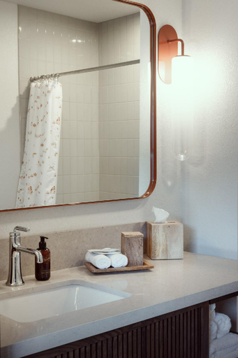 Bathroom 5, The Ozarker Lodge, Taney
