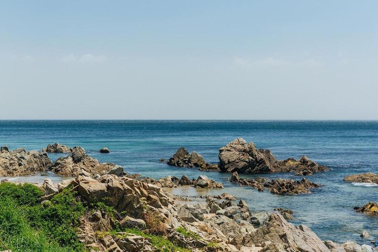 Others 4, Sea Bird Pension , Yeongdeok
