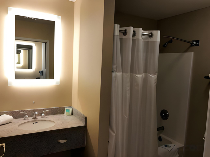 Bathroom 4, Medallion Inn & Suites, Snohomish