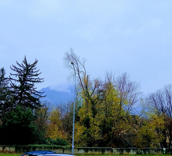Others 5, B&b del bosco e del lago Elimar, Lecco