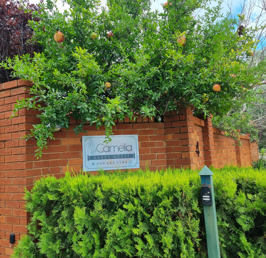 Others 4, Camelia Guest House, Mangaung