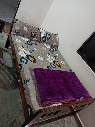 Others 4, Swastik guest House , North Goa