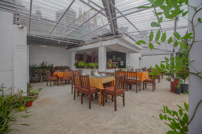Food & Drinks 2, Palri Boutique Hotel, East Sikkim