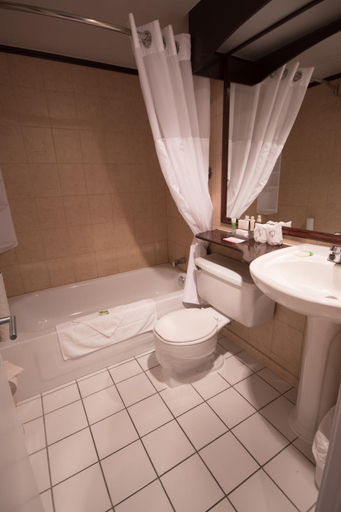 Bathroom 4, Hotel des Eskers, Abitibi
