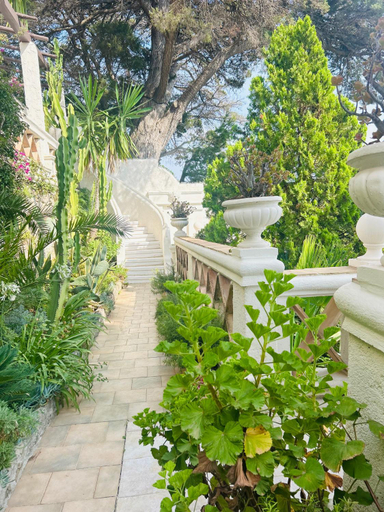 Others 4, Somptuous exotic villa in Cannes, Alpes-Maritimes