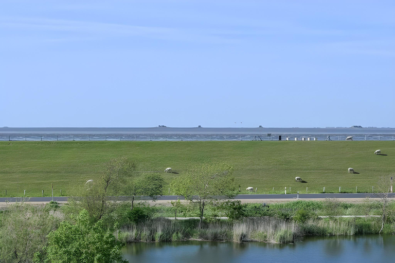 Others 4, Penthouse in Nordstrand auf dem Deich, Nordfriesland