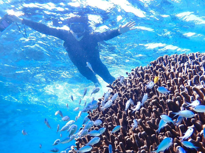 Others 5, 与那国島ホテル むんぶステイ 比川浜, Yonaguni
