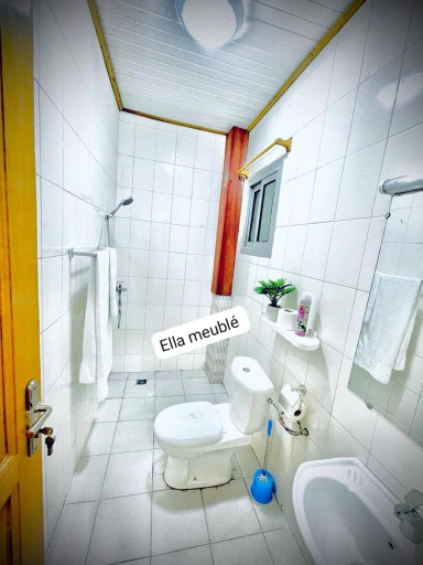 Others 4, Appartement Ella Meuble, Mfoundi