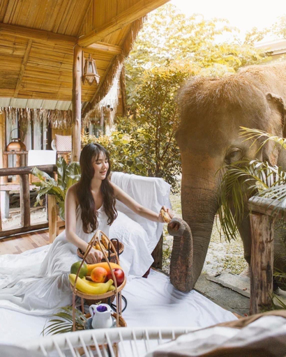 Sport & Beauty 3, Wakey Camp / Wake With Elephants, Mae Wang