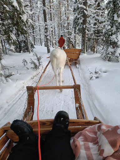 Safari, Riekko Lodge, Lapland