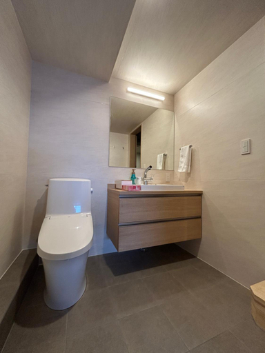 Bathroom 2, ASANOHA, Furano