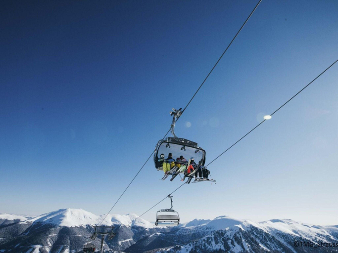 Others 4, Awesome chalet with sauna, Murau
