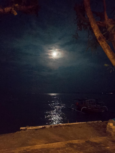Others 4, Gili gede homestay , Lombok
