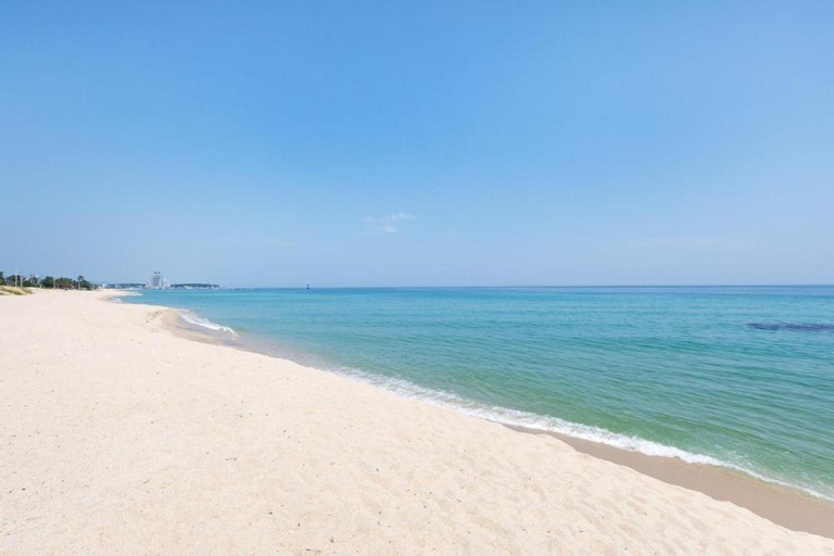 Others 4, Mirabell Pension, Gangneung
