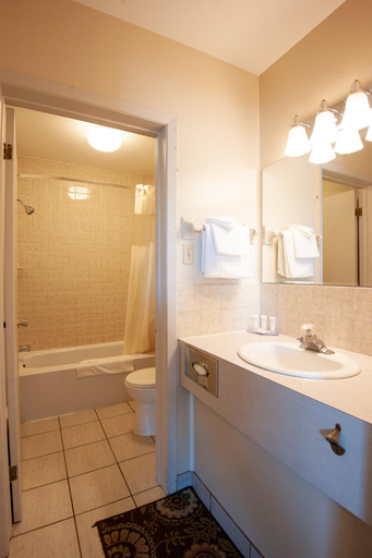 Bathroom 4, Dutch Inn, Queens
