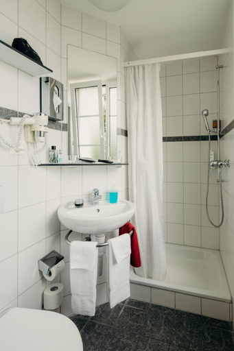 Bathroom, Hotel Bienenberg - Nature Retreat, Liestal