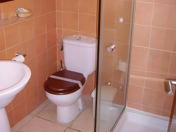 Bathroom, Hotel Torrepalacio, Asturias