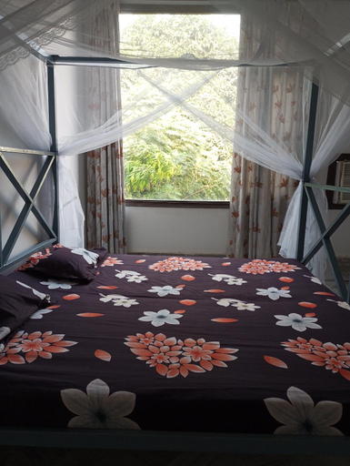 Bedroom 2, Backpackers Station, Samba