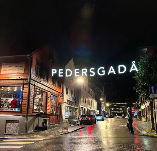 5, Urban Treehouse in city centre, Stavanger