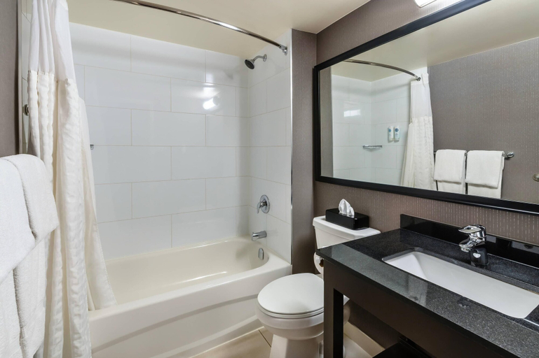 Bathroom 4, Comfort Inn Sudbury City, Greater Sudbury