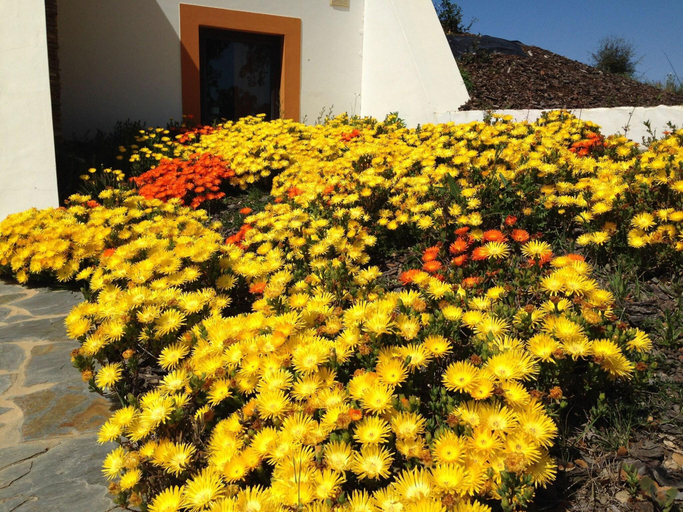 Exterior & Views 2, Monte Tons Da Terra - Countryhouse & Spa, Santiago do Cacém