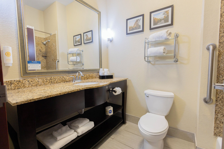 Bathroom 5, Comfort Suites Troy-I75, Troy