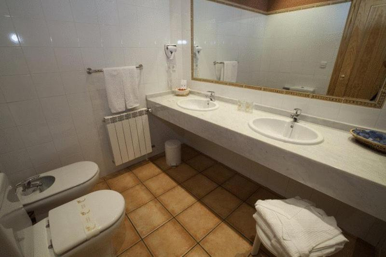 Bathroom, Hotel Estanys Blaus, Lleida