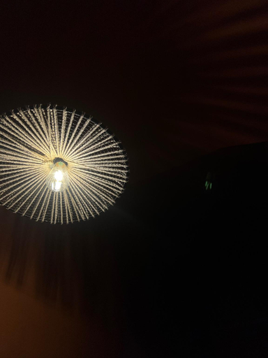 Public Area 2, Hued – A boutique Stay, Udaipur