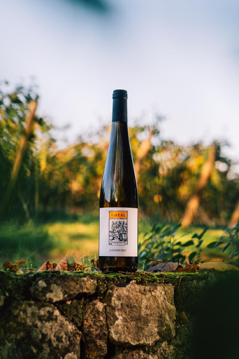 Food & Drinks 5, Wine Tourism - Quinta do Ameal, Ponte de Lima