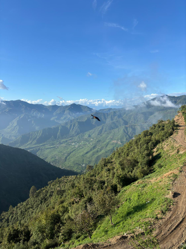 Others 3, Rumuk Boutique Resort (Offbeat Escape), Tehri Garhwal