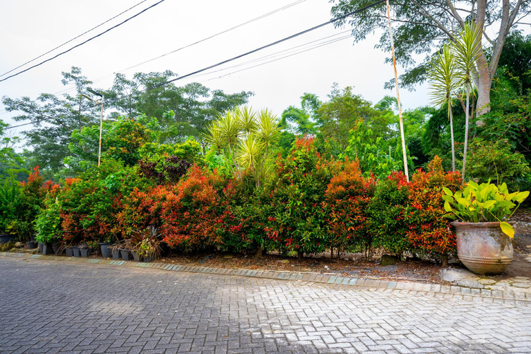 Others 5, Dhanesvara Villa, Malang