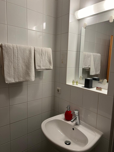 Bathroom 5, Lachnerhof, Erlangen