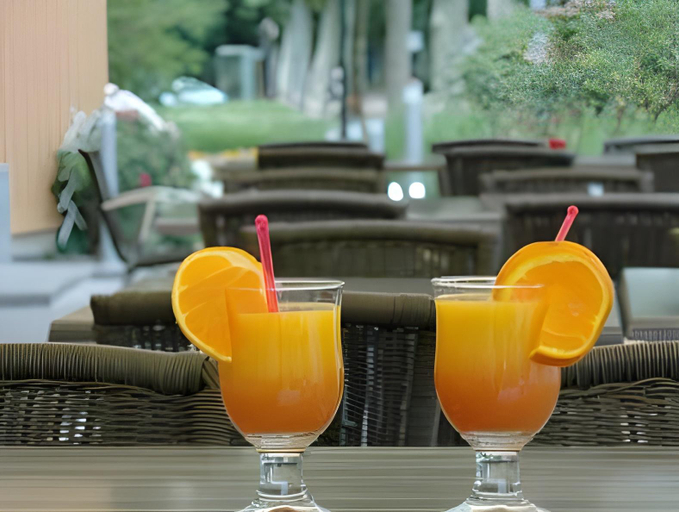 Food & Drinks 4, ibis Styles Annecy Le Vieux (Ouverture mai 2026), Haute-Savoie