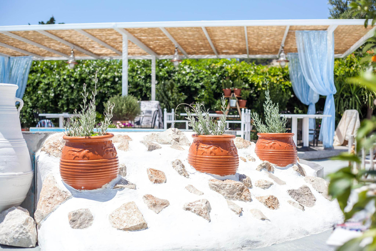 Food & Drinks 5, Tinas Plus Hotel, South Aegean