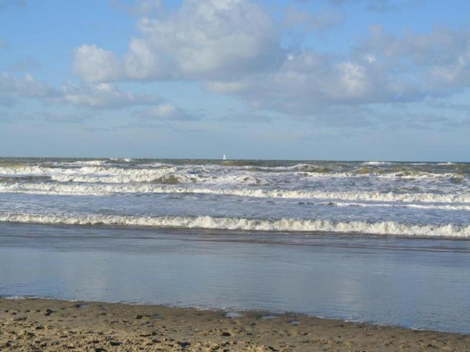 Others 5, Holiday Home in Noordwijkerhout by Forest  Lake, Noordwijk